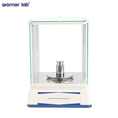 Welche Faktoren beeinflussen die Leistung einer Präzisionswaage?